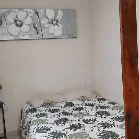 Nueva Piscina Privada Santa-Cruz de Ténérife