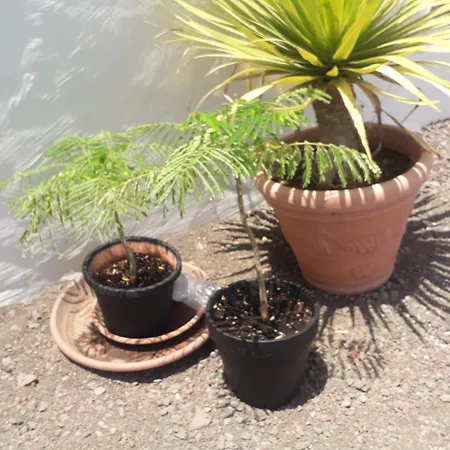Nueva Piscina Privada Сasa de vacaciones *
